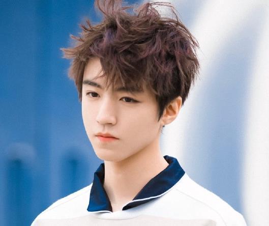 寅子明星粉丝,粉丝眼中的璀璨星辰