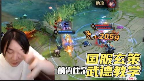 张大仙国服爆料视频下载,揭秘游戏内幕与精彩瞬间